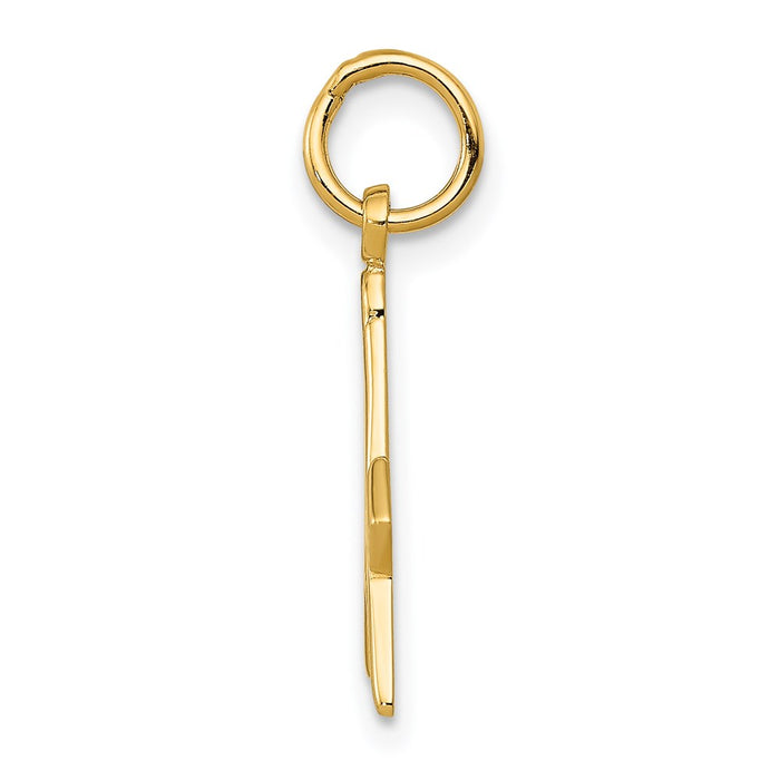 14k Polished and Textured Masonic Symbol Charm-C436