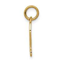 14k DIPLOMA Charm-C437