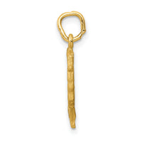 14K Satin Front / Polished Back Nefertiti Charm-C444