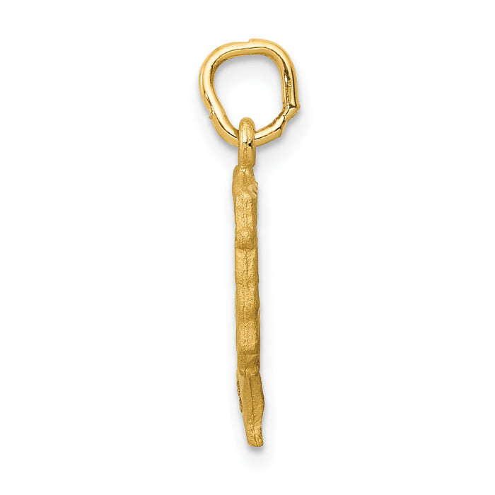 14K Satin Front / Polished Back Nefertiti Charm-C444