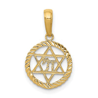 14K Star of David and Chai in Circle Pendant-C4459