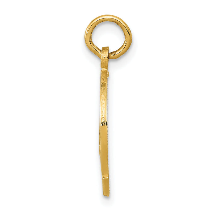 14k Horseshoe Charm-C454