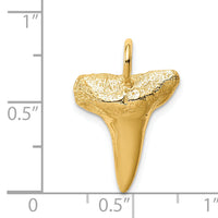 14K Shark Tooth Pendant-C4589
