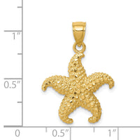 14K Starfish Pendant-C4610