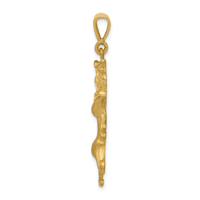 14k Satin Diamond-cut Leo Zodiac Charm-C468
