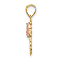 14K Two-tone w/White Rhodium Lady of Guadalupe 15 Pendant-C4746