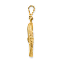 14k Satin Diamond-cut Pisces Zodiac Charm-C475