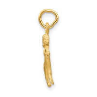 14k Satin Diamond-cut Aries Zodiac Charm-C476