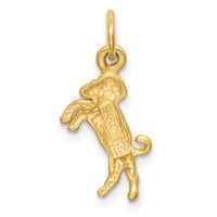 14k Satin Diamond-cut Aries Zodiac Charm-C476