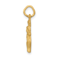 14k Satin Diamond-cut Gemini Zodiac Charm-C478