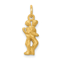 14k Satin Diamond-cut Gemini Zodiac Charm-C478