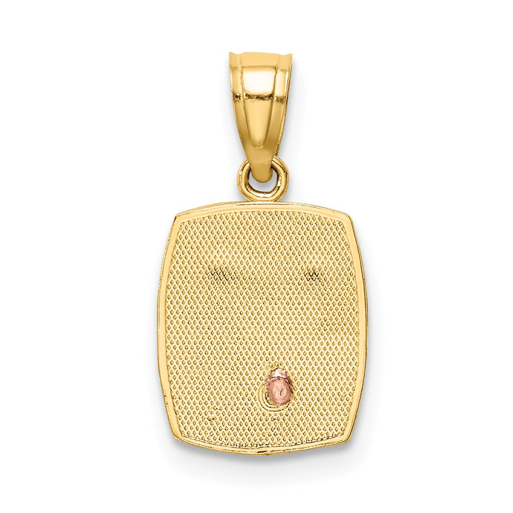 14K Two-tone w/White Rhodium Baptism Pendant-C4781