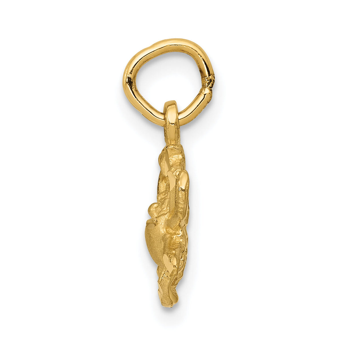 14k Satin Diamond-cut Cancer Zodiac Charm-C479