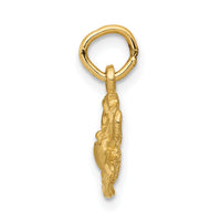 14k Satin Diamond-cut Cancer Zodiac Charm-C479