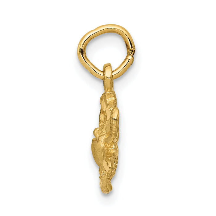 14k Satin Diamond-cut Cancer Zodiac Charm-C479