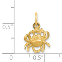 14k Satin Diamond-cut Cancer Zodiac Charm-C479