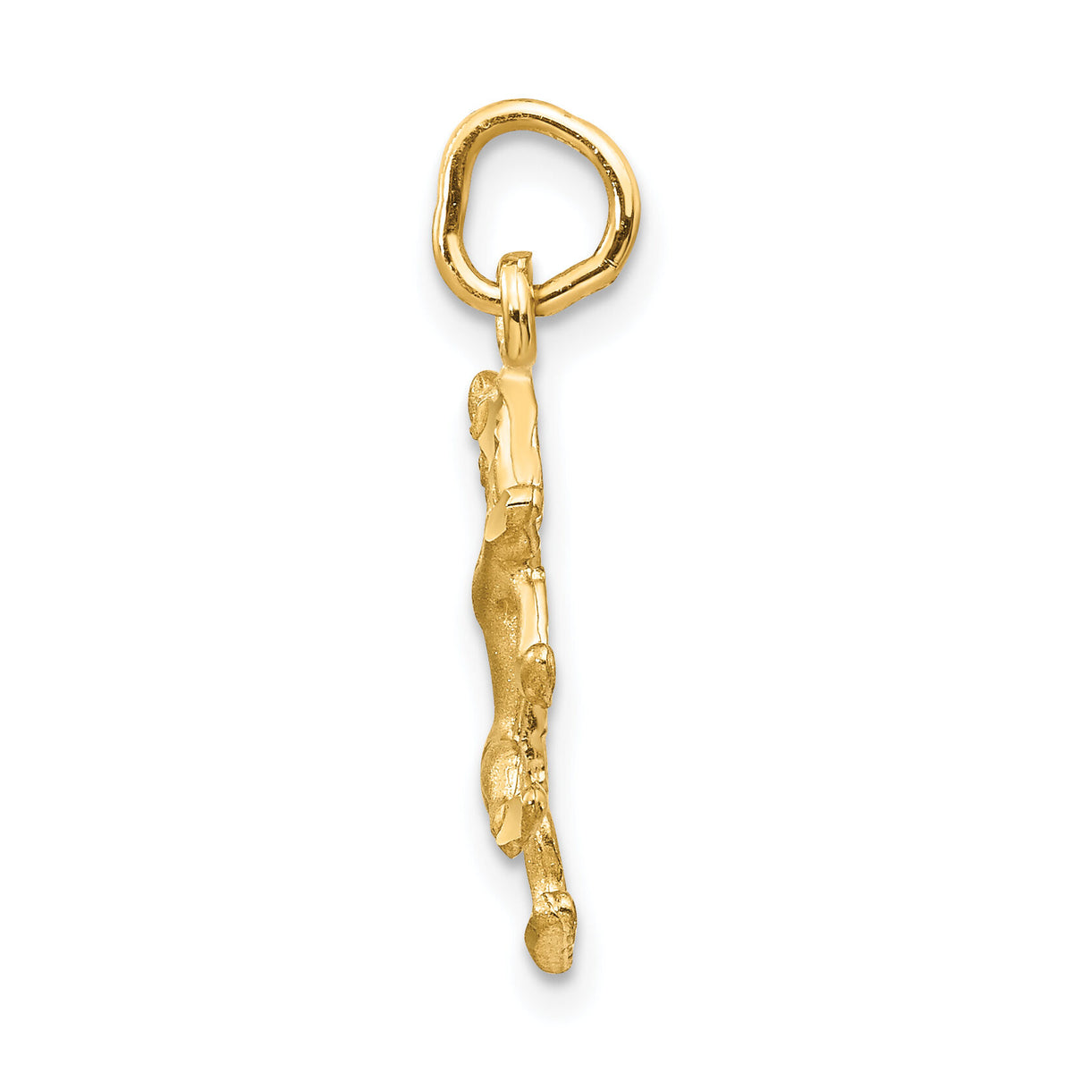 14k Satin Diamond-cut Leo Zodiac Charm-C480
