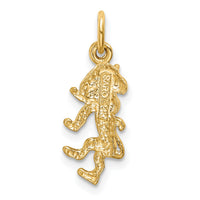 14k Satin Diamond-cut Leo Zodiac Charm-C480