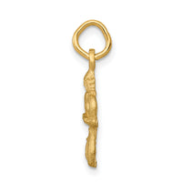 14k Satin Diamond-cut Virgo Zodiac Charm-C481