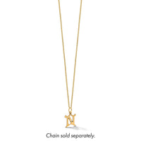 14K Diamond-cut Letter N Initial Charm-C4833N