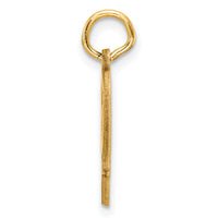14K Diamond-cut Letter P Initial Charm-C4833P