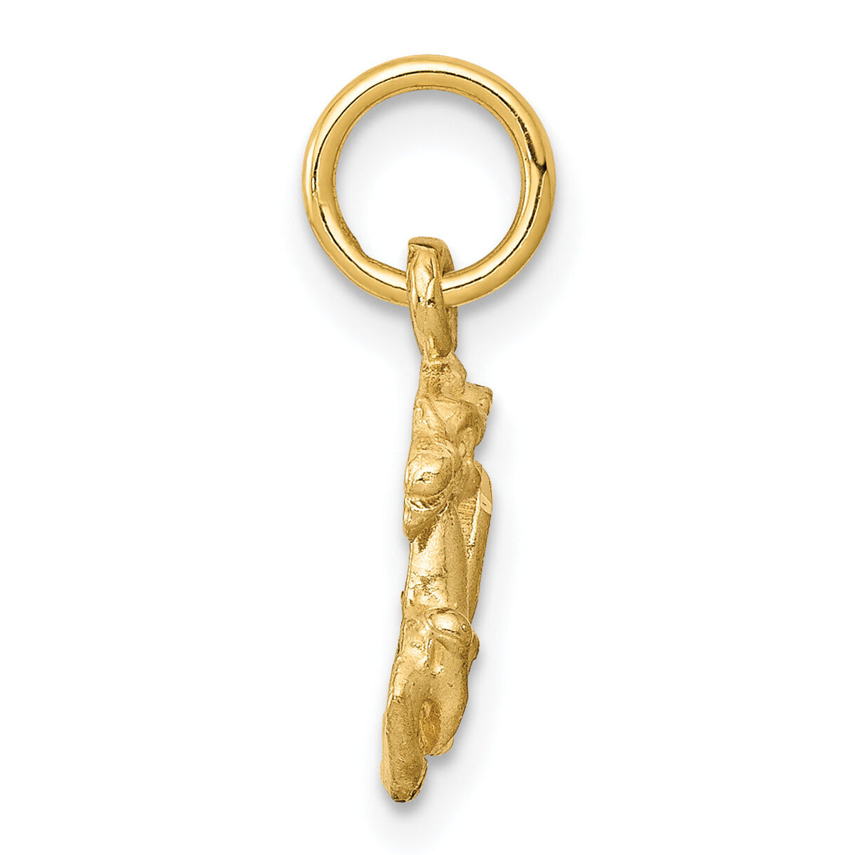 14k Satin Diamond-cut Capricorn Zodiac Charm-C485