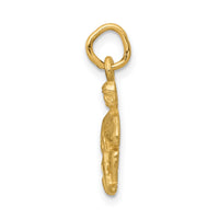 14k Satin Diamond-cut Aquarius Zodiac Charm-C486