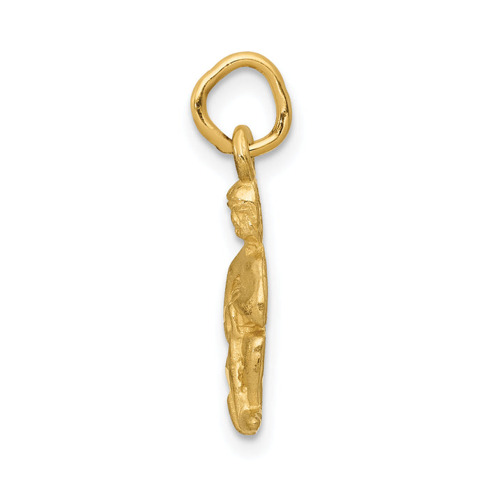 14k Satin Diamond-cut Aquarius Zodiac Charm-C486
