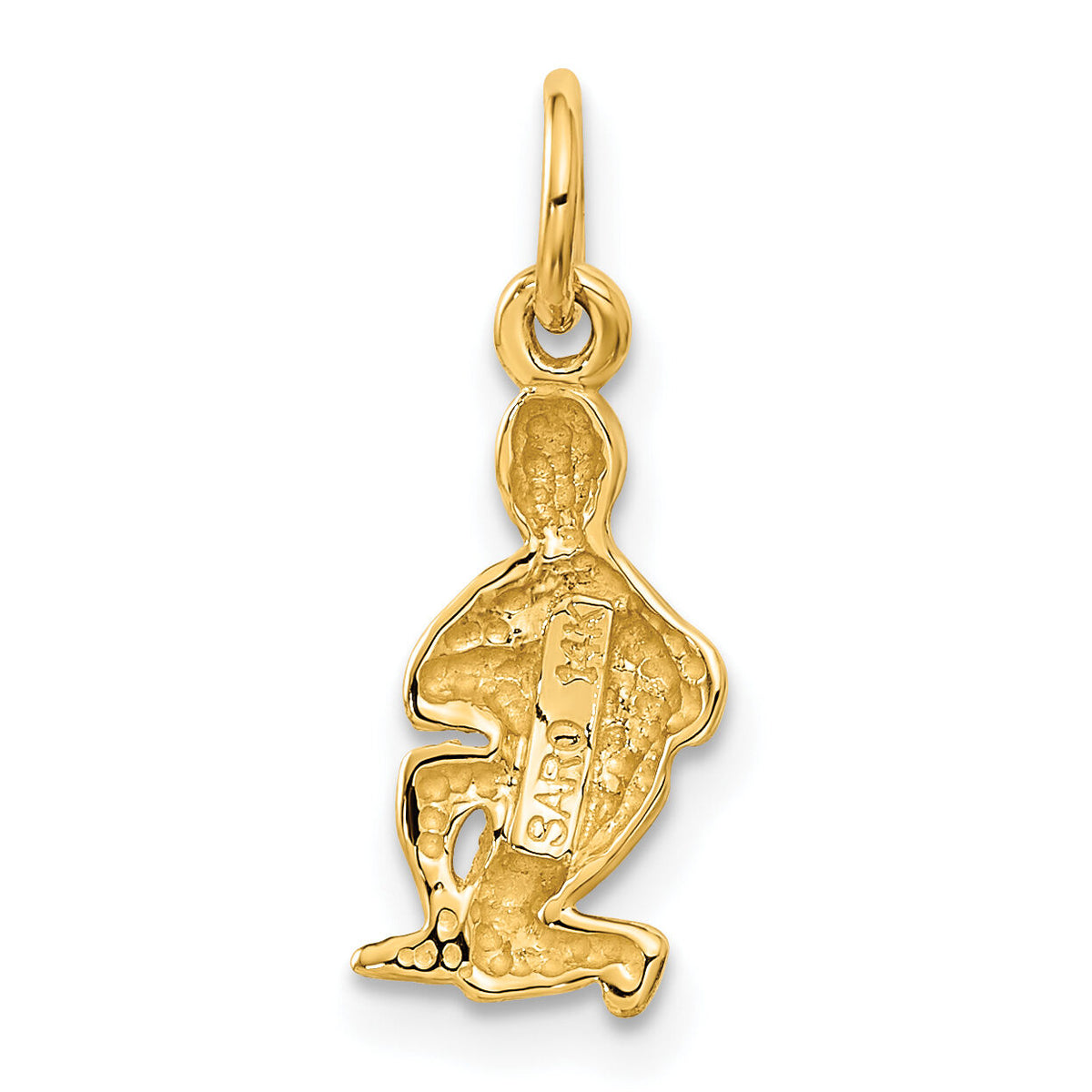14k Satin Diamond-cut Aquarius Zodiac Charm-C486