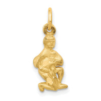 14k Satin Diamond-cut Aquarius Zodiac Charm-C486
