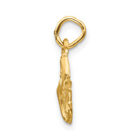 14k Satin Diamond-cut Pisces Zodiac Charm-C487