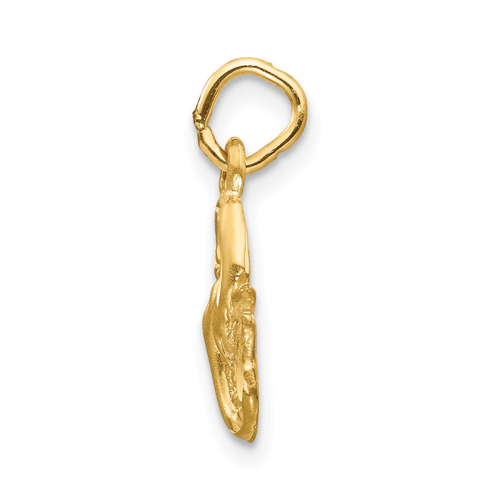 14k Satin Diamond-cut Pisces Zodiac Charm-C487