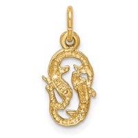14k Satin Diamond-cut Pisces Zodiac Charm-C487