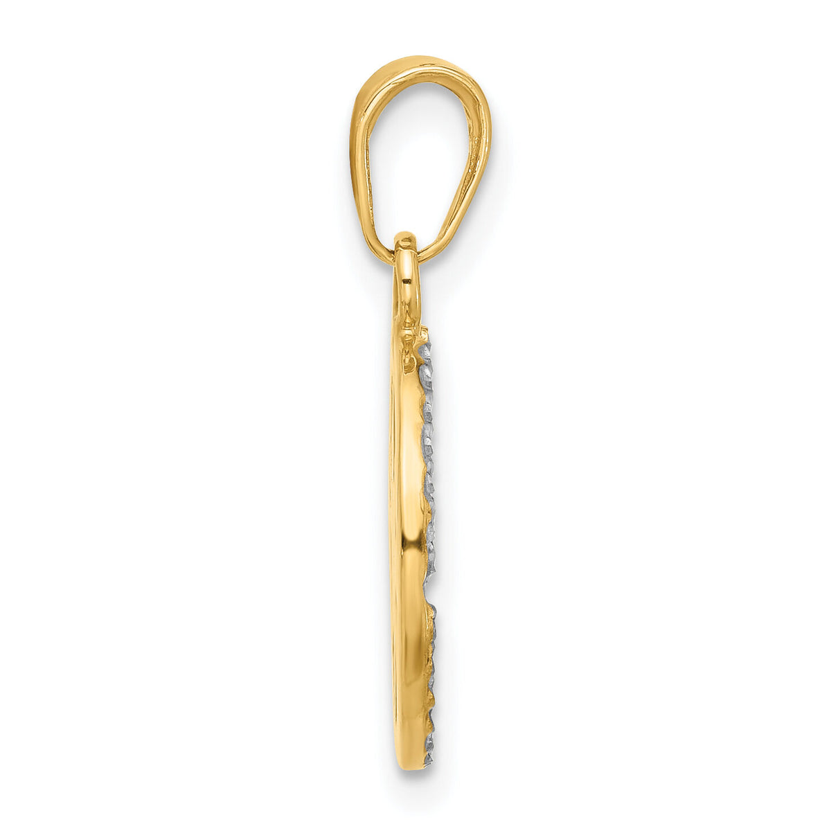 14k and White Rhodium D/C Compass Pendant-C4923
