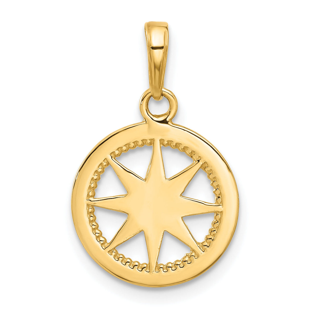 14k and White Rhodium D/C Compass Pendant-C4923