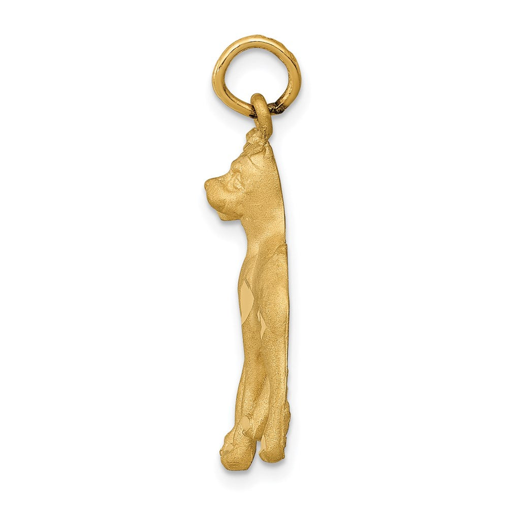 14k Yellow Gold Solid Polished Boxer Charm-C528