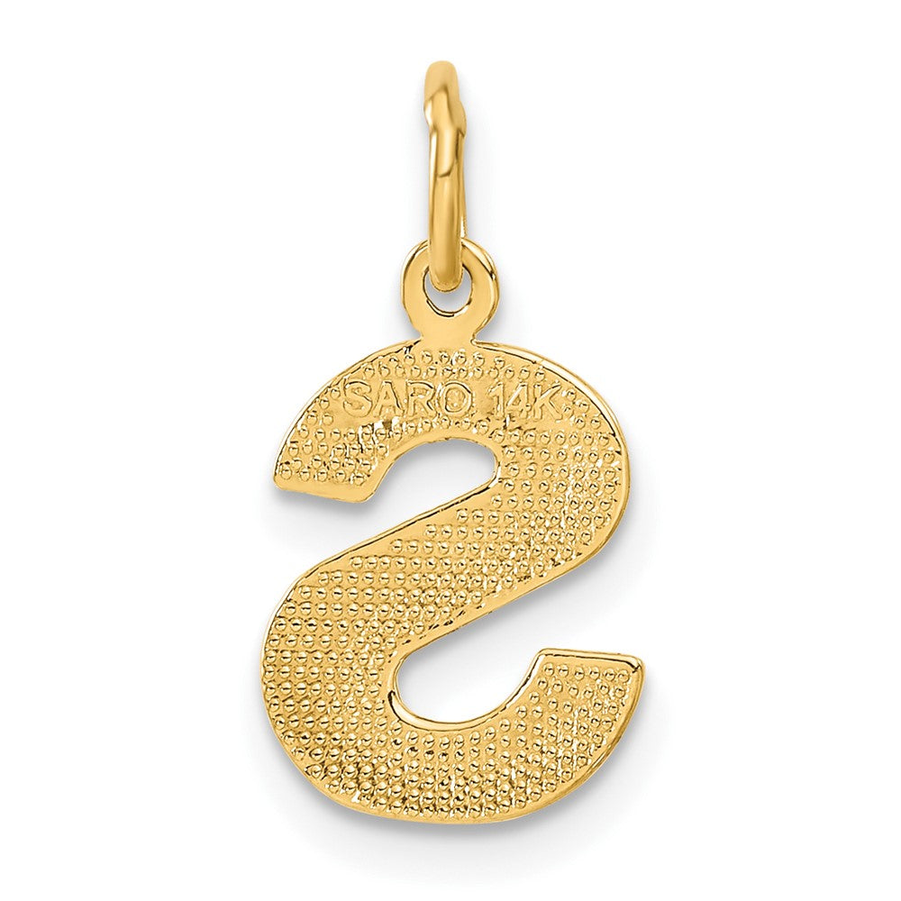 14KY Satin Diamond-cut Letter S Initial Charm-C566S