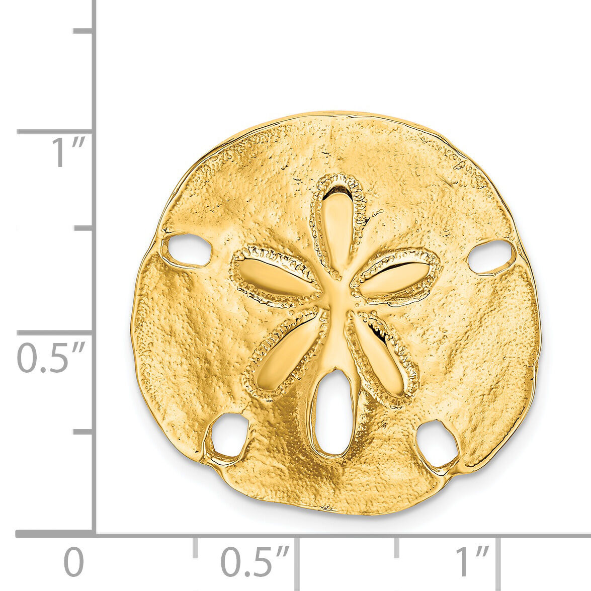 14k Polished Fits up to 8mm on Both Small Sand Dollar Slide-D1003