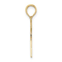 14k Registered Nurse Charm-D1234