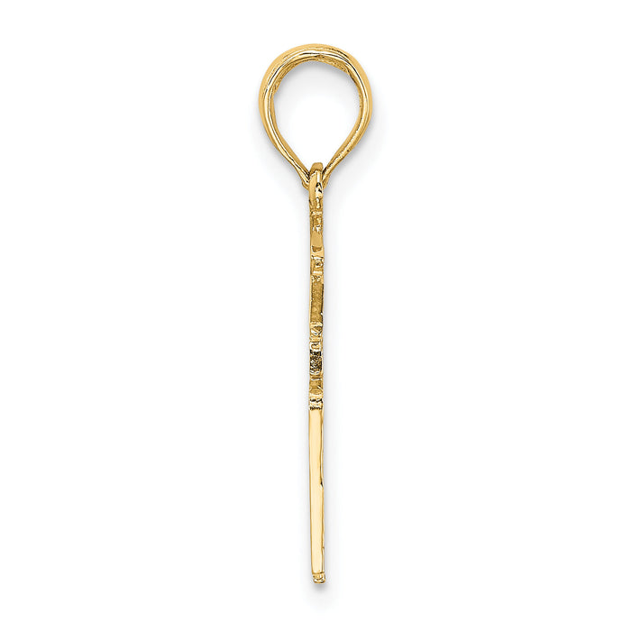 14k Registered Nurse Charm-D1234