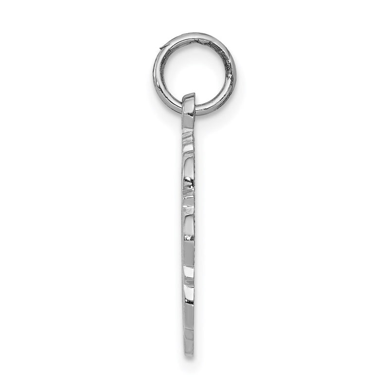 14k White Gold RN Registered Nurse Disc Charm-D1241