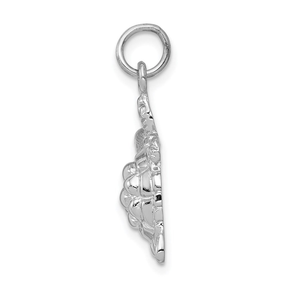 14k White Gold Solid Polished Open-Backed Turtle Charm-D1405