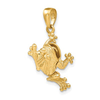 14k Solid Polished 3-D Moveable Frog Pendant-D1409