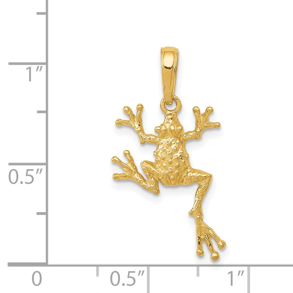 14k Solid Polished Open-Backed Frog Pendant-D1412