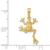 14k Solid Polished Open-Backed Frog Pendant-D1412