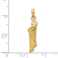 14k Torah w/Star of David Pendant-D1716