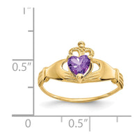 14k CZ February Birthstone Claddagh Heart Ring-D1793