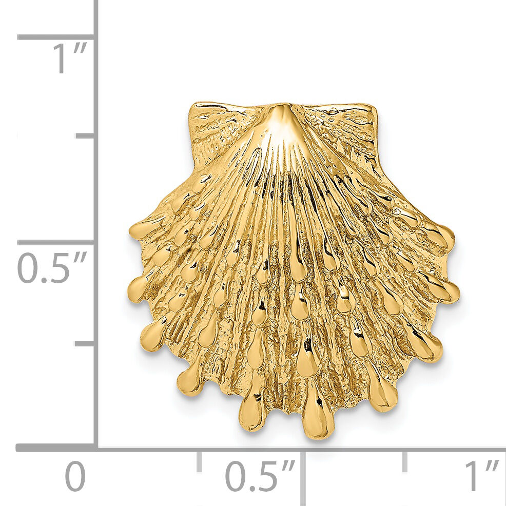 14k Small Lion's Paw Shell Slide-D2860
