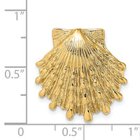 14k Small Lion's Paw Shell Slide-D2860