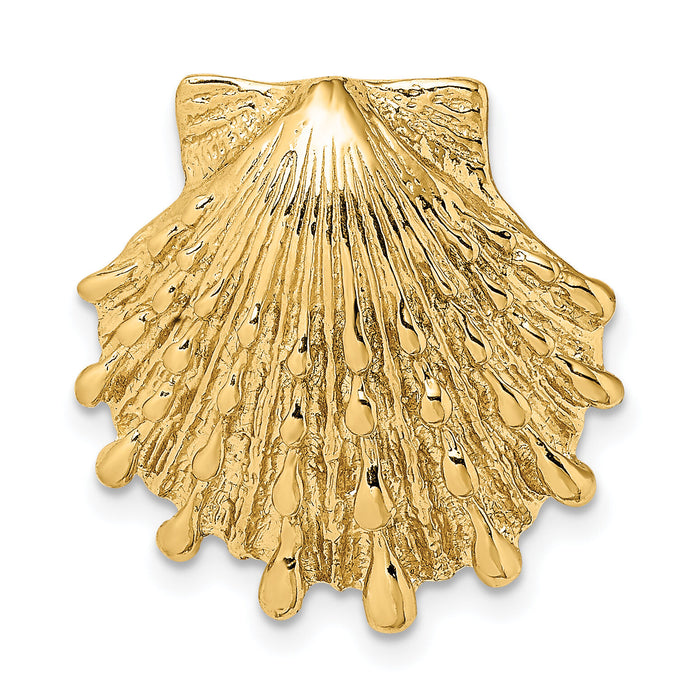 14k Small Lion's Paw Shell Slide-D2860